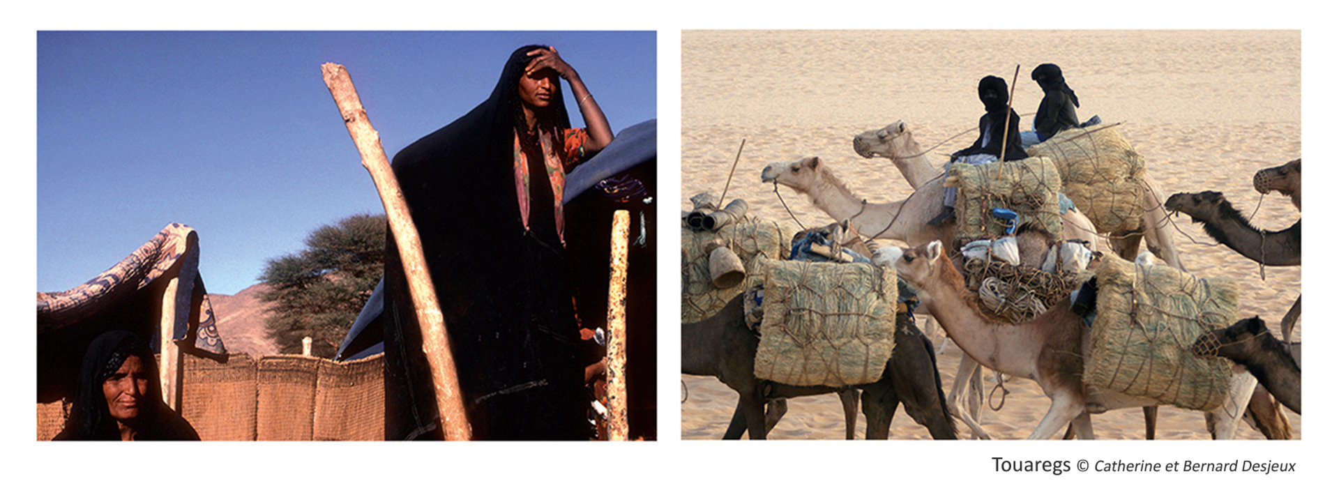 expo-Touaregs©Desjeux
